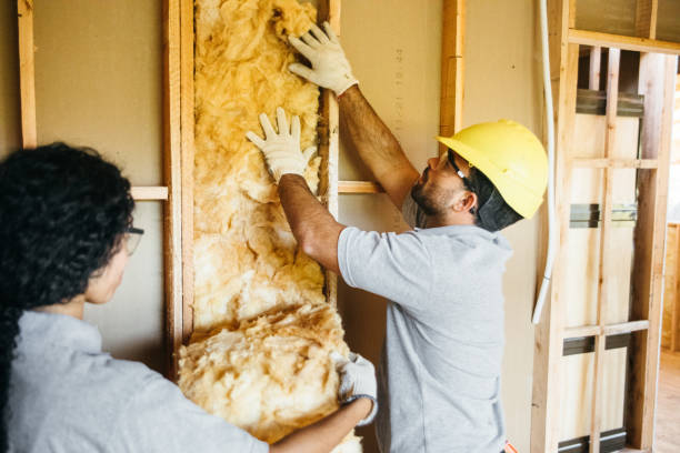 Best Insulation Replacement Services  in Gallitzin, PA