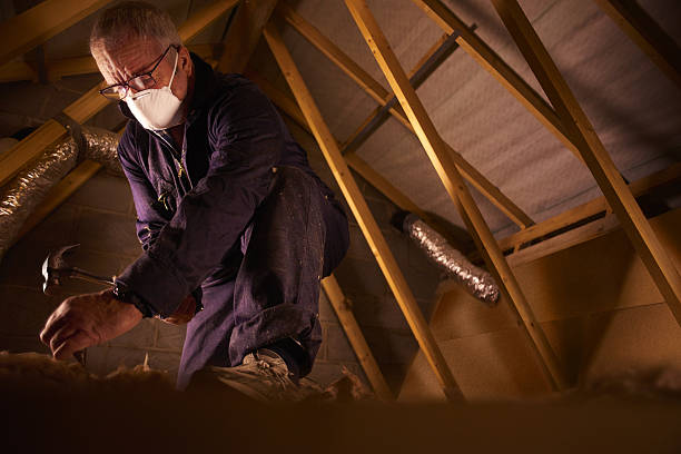 Best Insulation Contractors for Homes  in Gallitzin, PA
